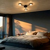 картинка Lightstar Люстра потолочная Fico  740037