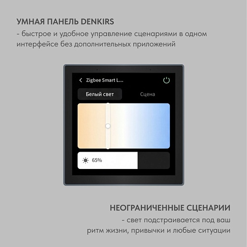 картинка Denkirs Панель управления умным домом  DK7405-BK