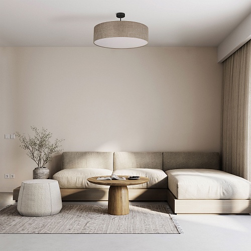 картинка TK Lighting Потолочный светильник 6248 Rondo Linen