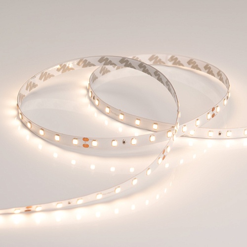картинка Arlight Лента  024526(2)