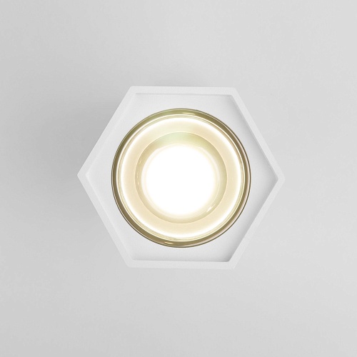 картинка Elektrostandard Накладной светодиодный светильник 25036/LED