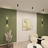 картинка Настенный светильник Denkirs DK5022-BK