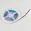 картинка Lightstar Лента цветного свечения 24V, голубой   420516