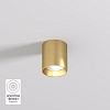 картинка Denkirs  Накладной светильник SHINE TUBE DK2610-SB