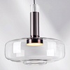 картинка Lightstar Подвес Disco  792110