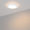 картинка Arlight Влагозащищенный светильник  017985