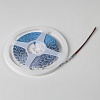картинка Lightstar Лента цветного свечения 24V, красный   420511