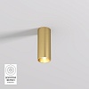 картинка Denkirs  Накладной светильник SHINE TUBE DK2615-SB
