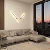 картинка Настенный светильник Denkirs DK5014-SG