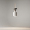 картинка Maytoni Подвесной светильник Клош / Cloches E14х1