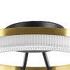 картинка Lightstar Люстра потолочная Rotonda  736040