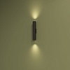 картинка Настенный светильник Denkirs DK5022-BK