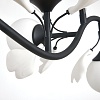 картинка Lightstar Люстра подвесная Ceramo BW  799087