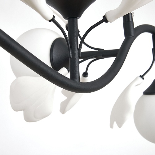 картинка Lightstar Люстра подвесная Ceramo BW  799087