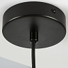 картинка Lightstar Люстра Fenicia  799407