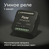картинка Elektrostandard Умное одноканальное реле 76006/00