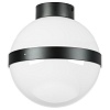 картинка Lightstar Люстра потолочная Globo  812117