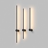 картинка Настенный светильник Denkirs DK5014-BK