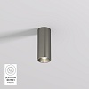 картинка Denkirs  Накладной светильник SHINE TUBE DK2615-DN