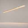 картинка Maytoni Подвесной светильник Перо / Plume 3000К 28Вт