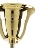 картинка Lightstar Люстра подвесная Schon  790032