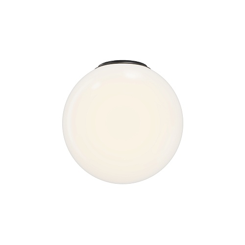 картинка Maytoni Потолочный светильник Близнецы / Twins 3000К 10Вт